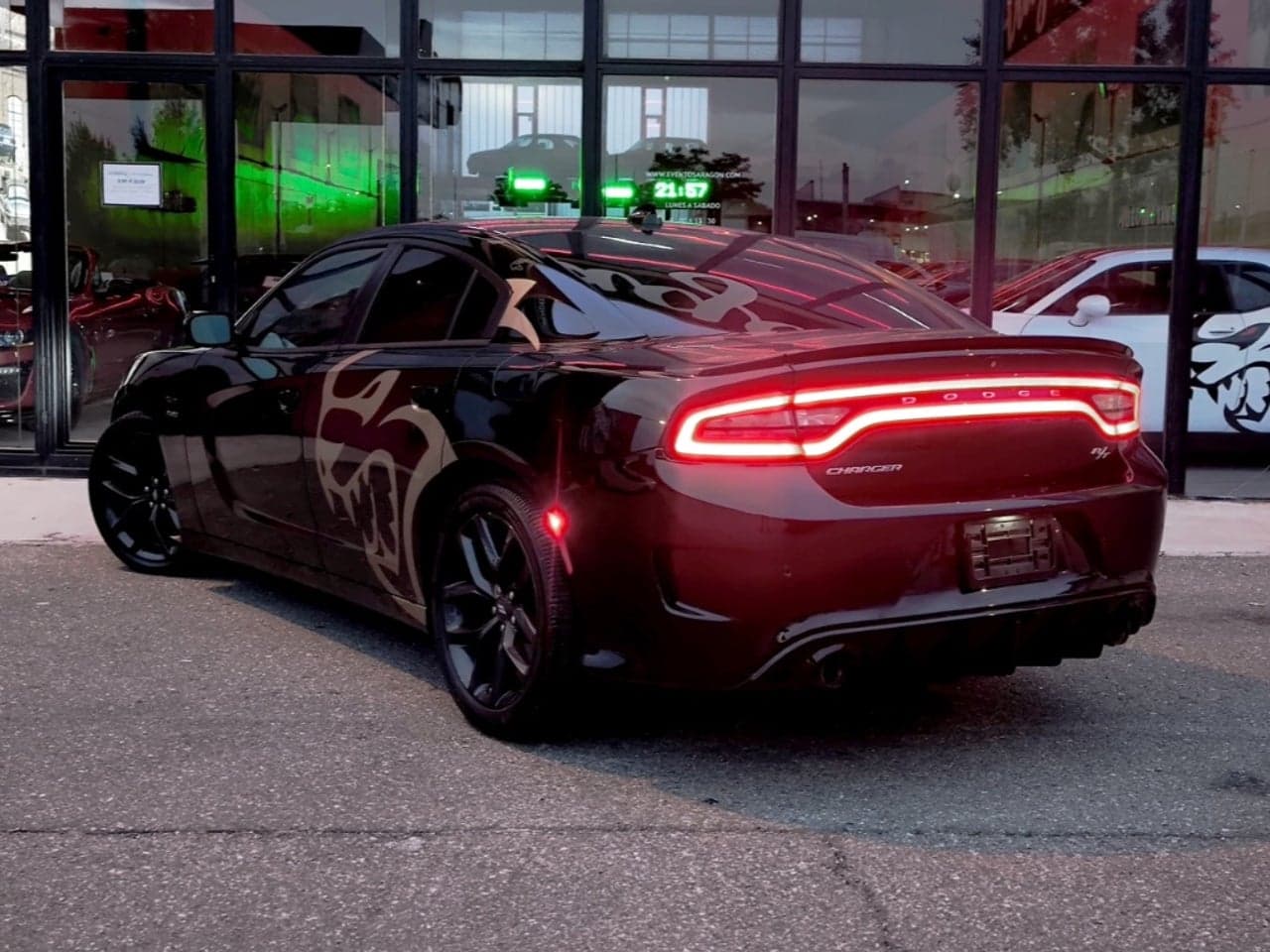 Miniatura 8