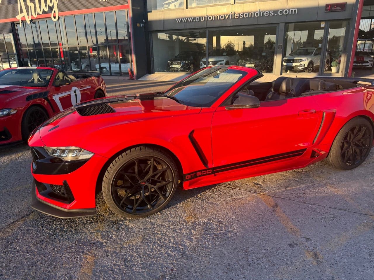 Miniatura 6